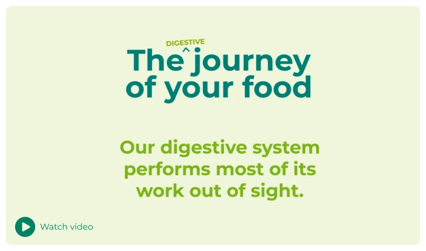 The journey of your food | Dulcolax®